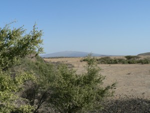 View to the Alayta shield volcano and rift segment