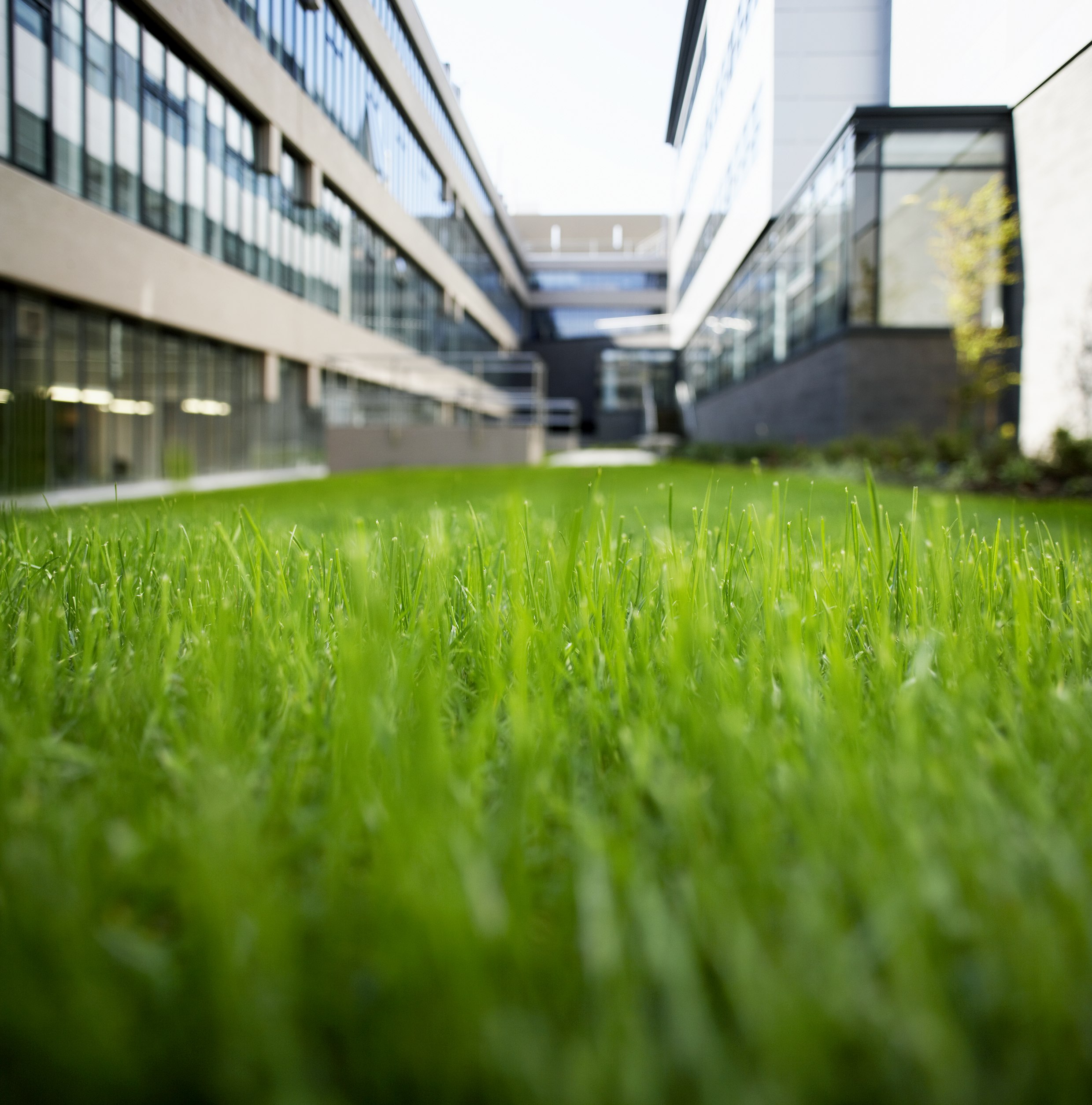 School of Earth and Environment building
